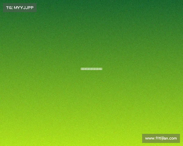 海南征途电子竞技有限责任公司